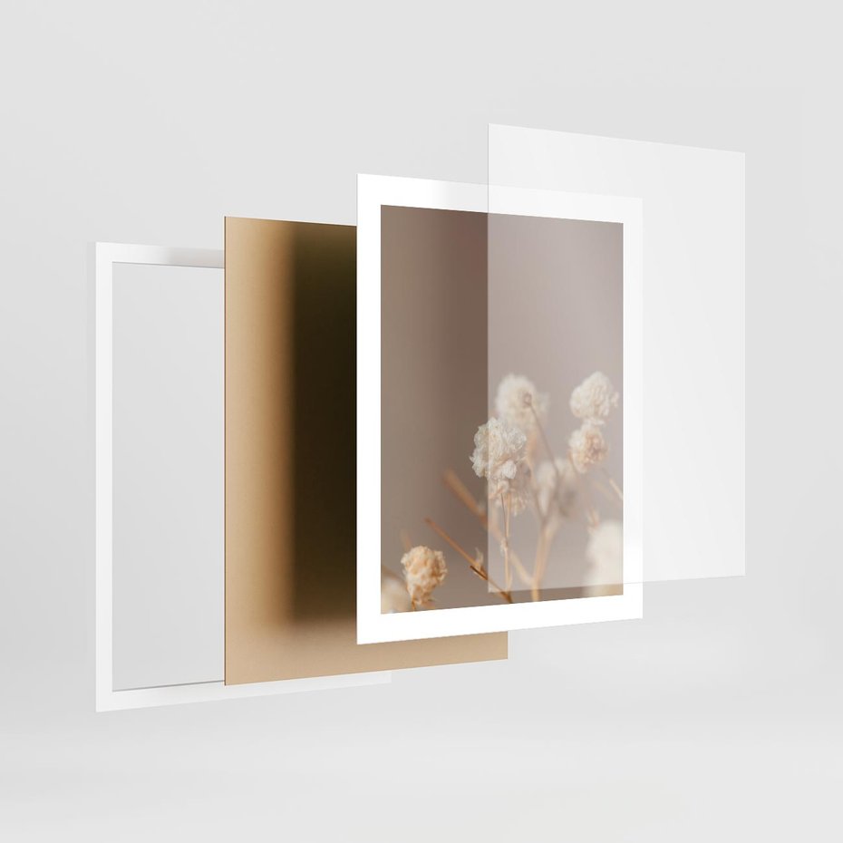 Plakat w ramie 40x50 - Przezroczyste piękno - gipsówka, suche - rama biała
