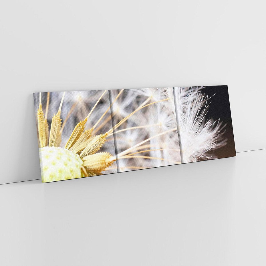 Obraz na płótnie 90x30 - Dmuchawiec: lekkość natury - dmuchawiec, natura