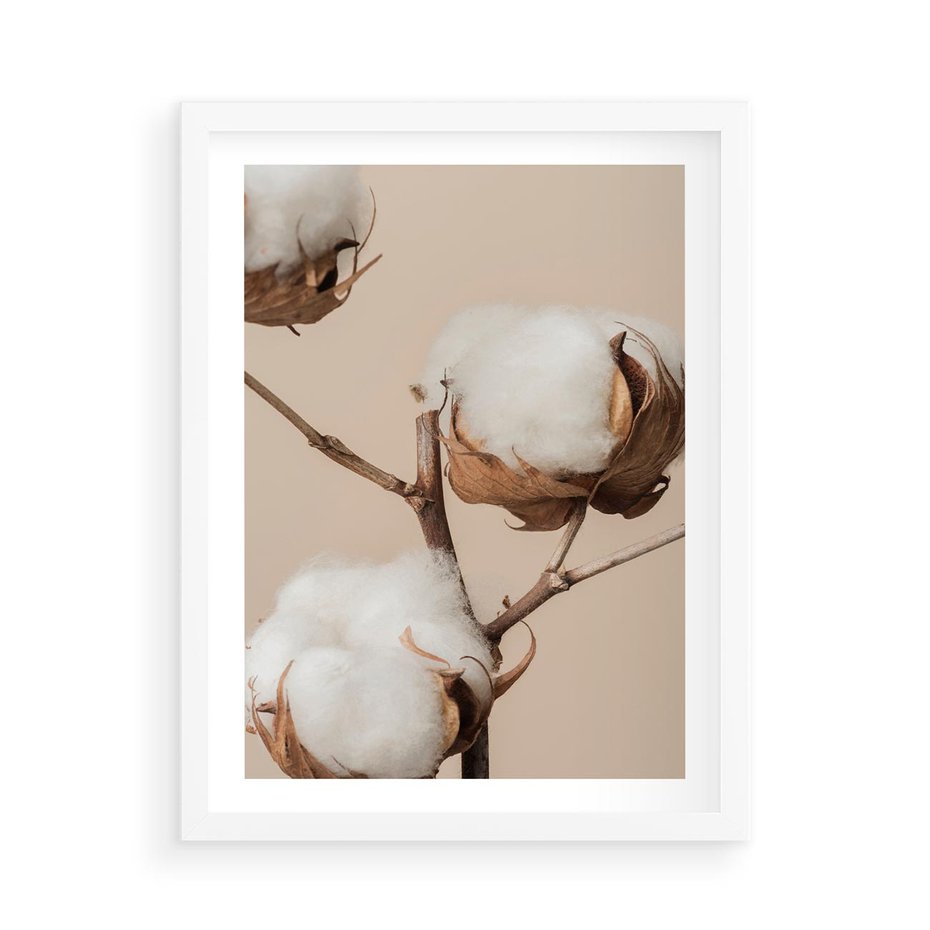 Plakat w ramie 50x70 - Bawełniana melancholia - bawełna, suche - rama biała