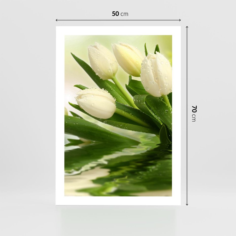 Plakat bez ramy 50x70 - Białe Piękno - białe, tulipany