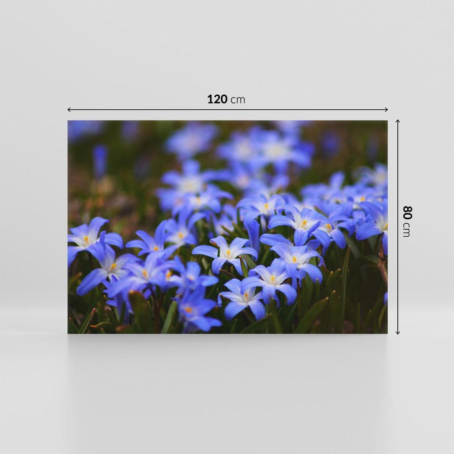 Obraz na płótnie 120x80 - Kwiatowy raj w naturze - kwiat, kwiaty