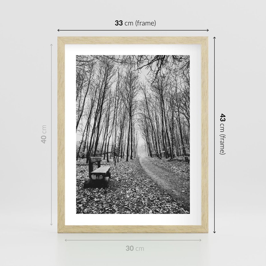 Plakat w ramie 30x40 - Spadające Liście - czarno białe zdjecie, park - rama drewno