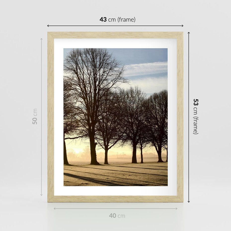 Plakat w ramie 40x50 - Siła natury - drzewa, pole - rama drewno