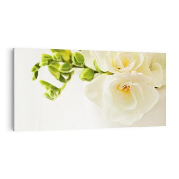 Obraz na płótnie 100x50 - Subtelność białych frezji - frezja, białe