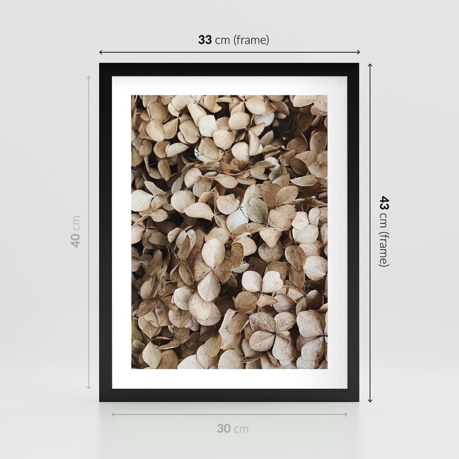 Plakat w ramie 30x40 - Delikatność Hortensji: Kompozycja Kwiatów w Beżu - hortensja, odcienie beżu - rama czarna