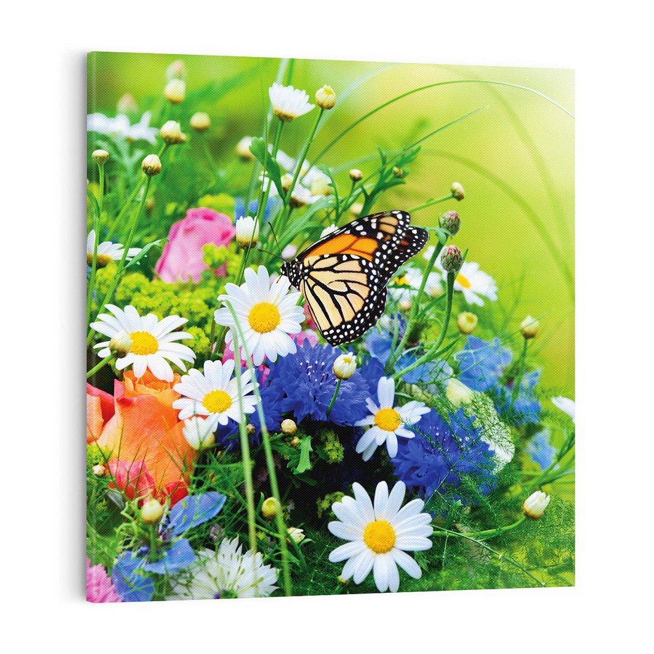 Obraz na płótnie 50x50 - Kwiatowy Taniec - motyl, kwiaty