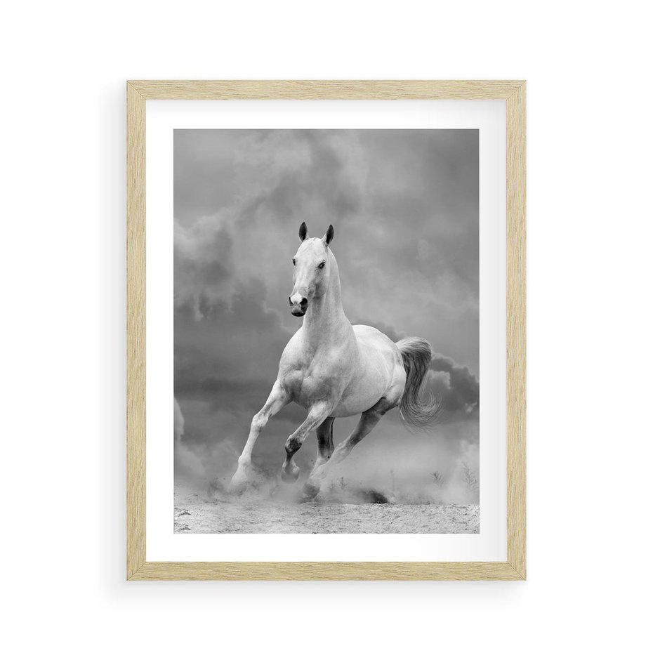 Plakat w ramie 40x50 - Elegancja w Czarno-Białym - koń, biało - rama drewno