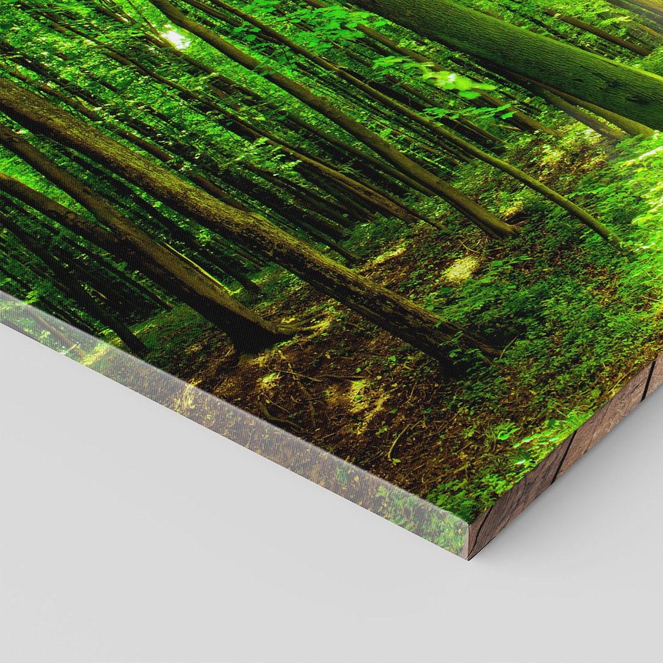 Obraz na płótnie 70x50 - Spacer po urokliwej dróżce w lesie - las, dróżka