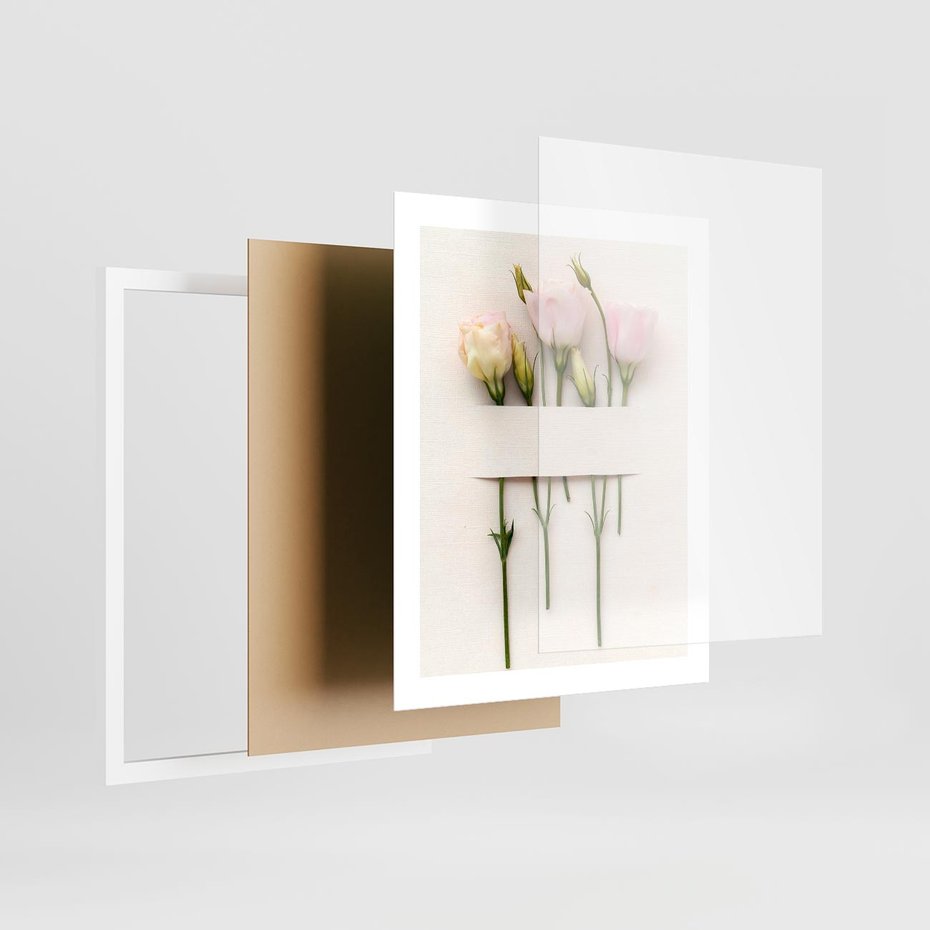 Plakat w ramie 40x50 - Białe kwiatowe uniesienia - białe, kwiaty - rama biała