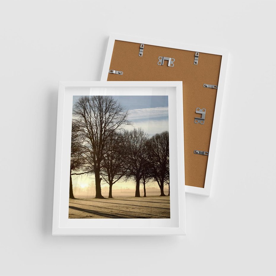 Plakat w ramie 40x50 - Siła natury - drzewa, pole - rama biała
