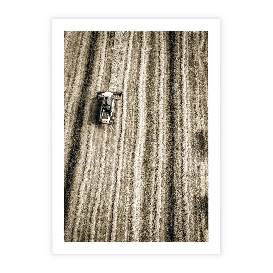 Plakat bez ramy 40x50 - Sepia na Polu - kombajn, pole