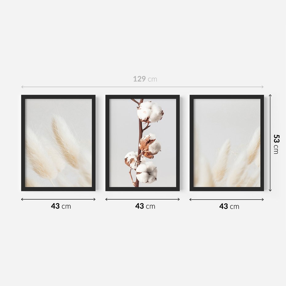 Zestaw obrazy w ramie 40x50 galeria - Suche, trawy, boho, pampas - rama czarna