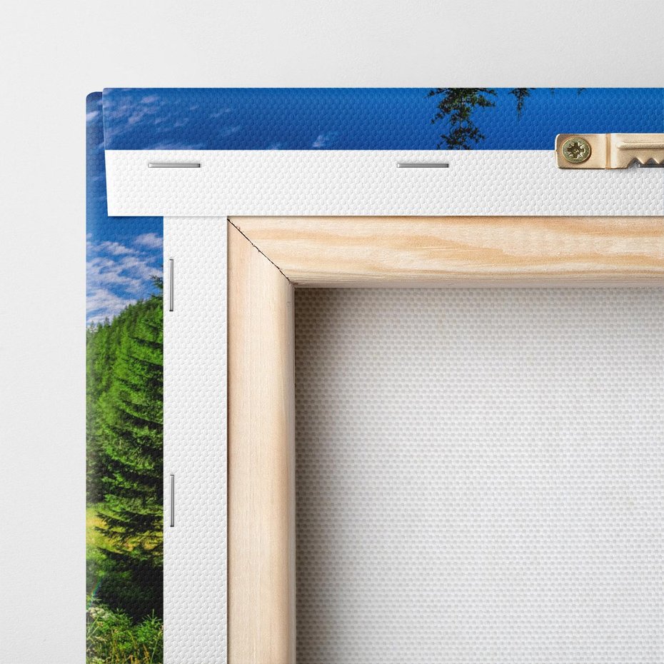 Obraz na płótnie 50x70 - Harmonia natury - góry, łąka