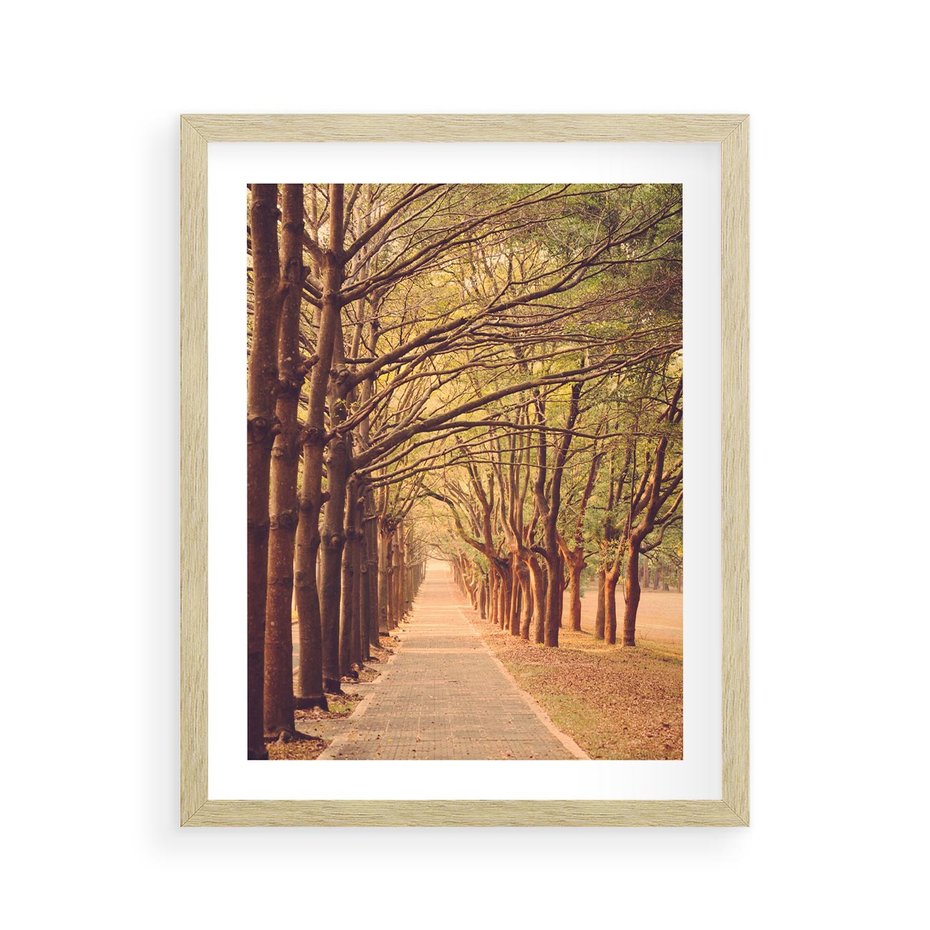 Plakat w ramie 40x50 - Wędrówka między drzewami - droga, drzewa - rama drewno
