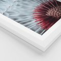 Plakat w ramie 30x40 - Dmuchawiec w Detalu - dmuchawiec, zdjęcie makro - rama biała
