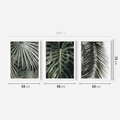 Zestaw obrazy w ramie 50x70 galeria - Liście, palmy, monstery - rama biała