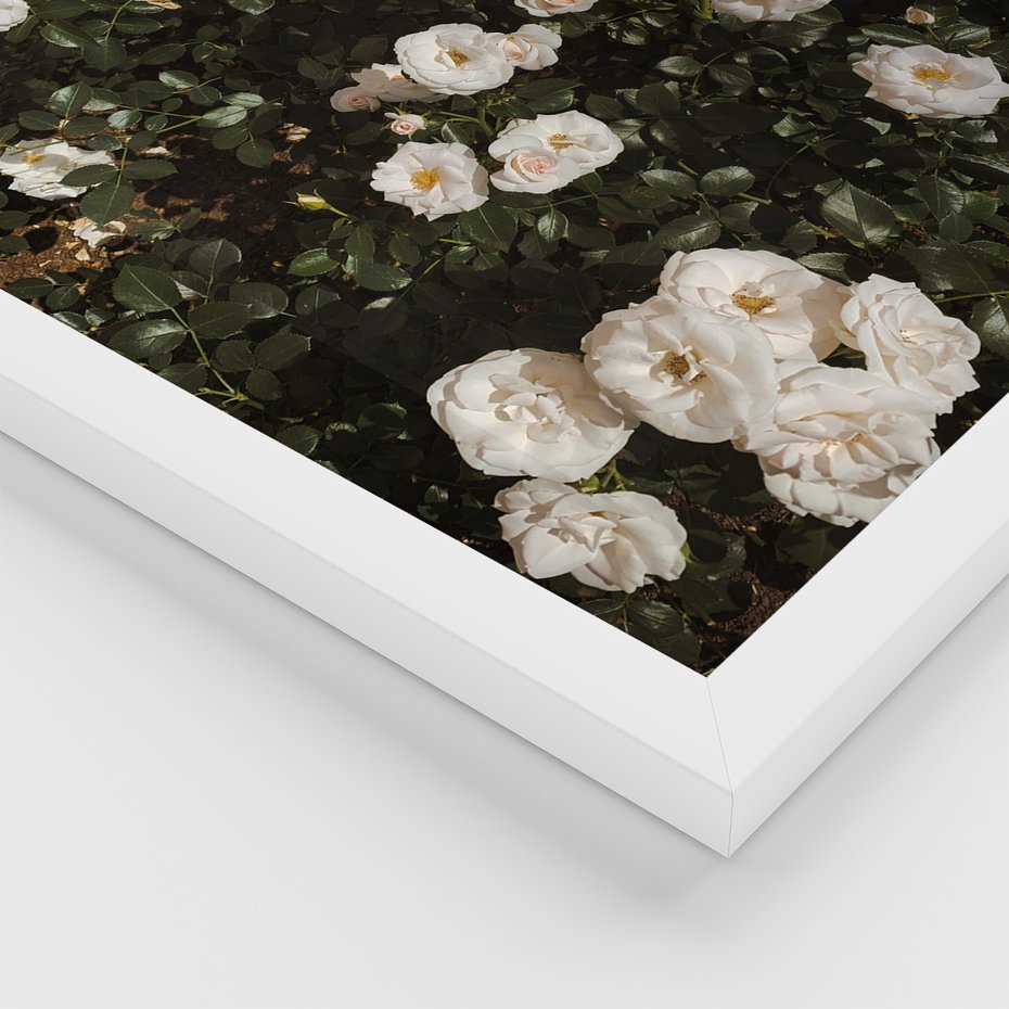 Zestaw obrazy w ramie 30x40 galeria - Boho, kwiaty, suche, trawy - rama biała