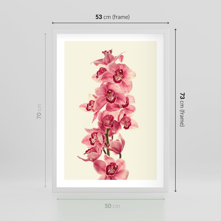Plakat w ramie 50x70 - Orchidea w spa - relaks - orchidea, spa - rama biała