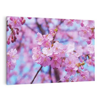 Obraz na płótnie 120x80 - magia kolorów - kwiat, kwiaty