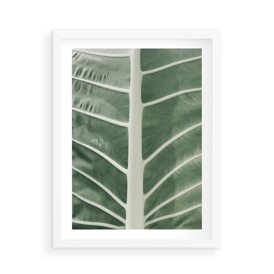 Plakat w ramie 50x70 - Zielone Wielkości: Zbliżenie Liścia - zbliżenie duz liść, jasna zieleń - rama biała
