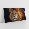 Obraz na płótnie 140x70 - Lew - Król Zwierząt - lew, zwierzęta