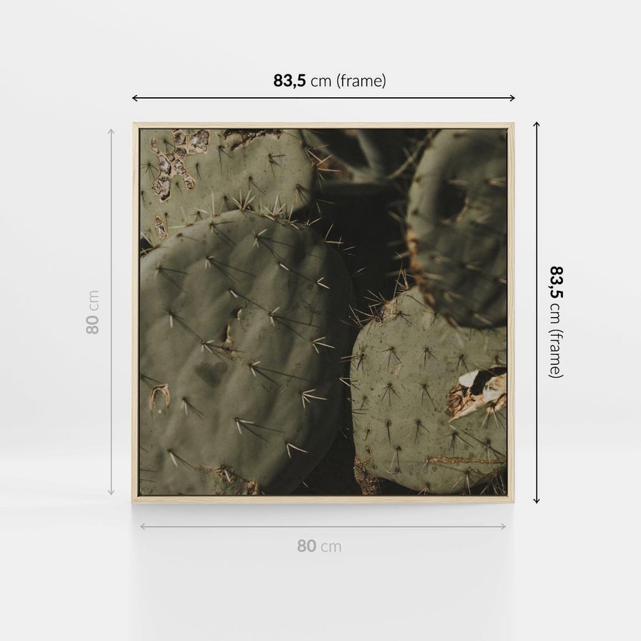 Obraz w ramie 80x80 - Urok Egzotyki - kaktusy, boho - rama drewno