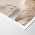 Plakat bez ramy 30x40 - Boho urok suchych liści - suche, liście
