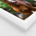 Plakat w ramie 40x50 - Portret Szlachetnego Konia - koń, portret - rama biała