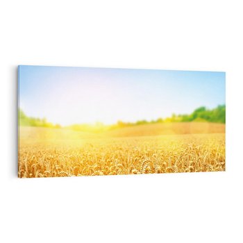 Obraz na płótnie 140x70 - Żyzne Pola - pole, pszenicy