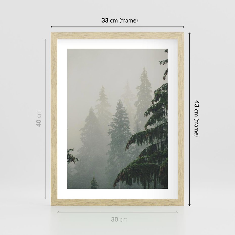 Plakat w ramie 30x40 - Mglista przemiana lasu - las, mgła - rama drewno