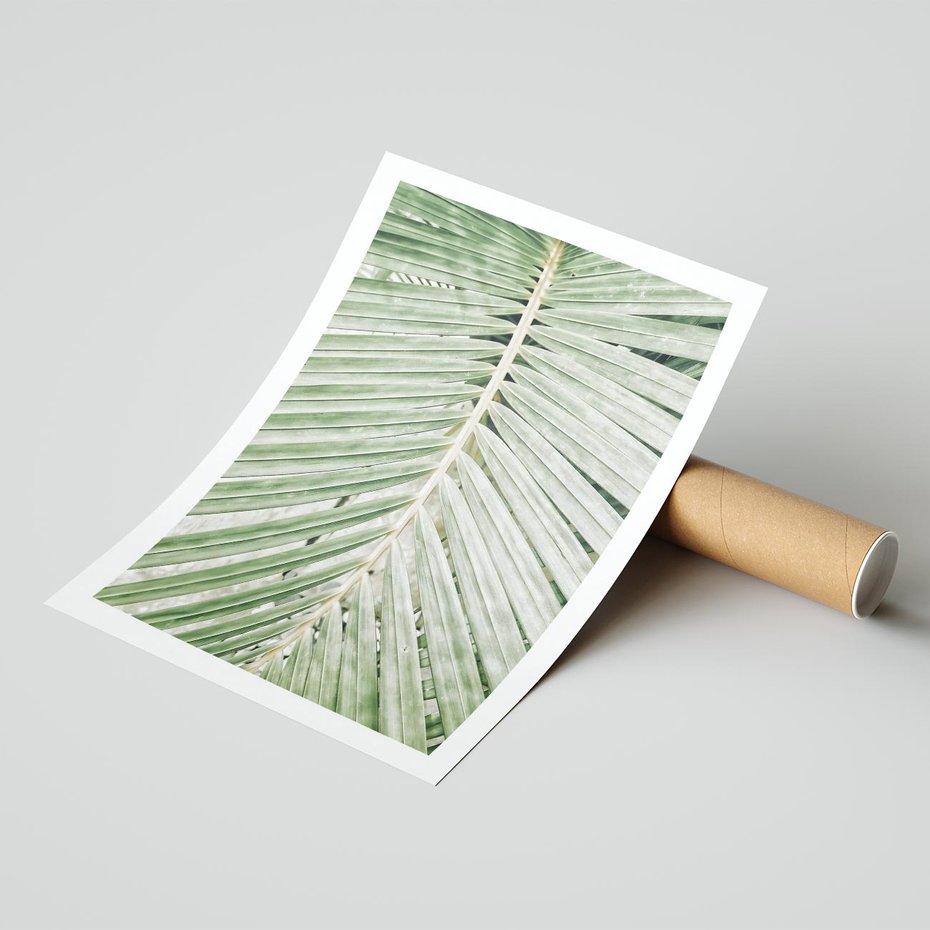 Plakat bez ramy 30x40 - Jasna Zieleń Palmy - liść palmy, zbliżenie