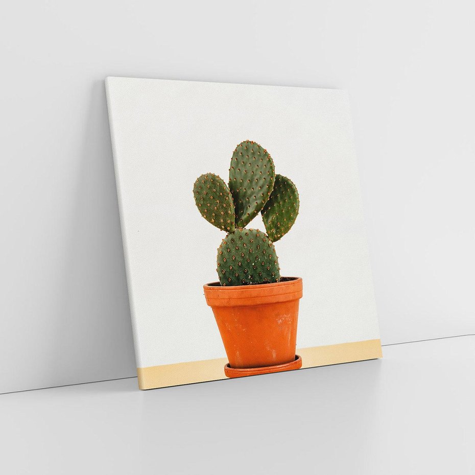 Obraz na płótnie 60x60 - Kwiatowy taniec kaktusa - kaktus, kwiat