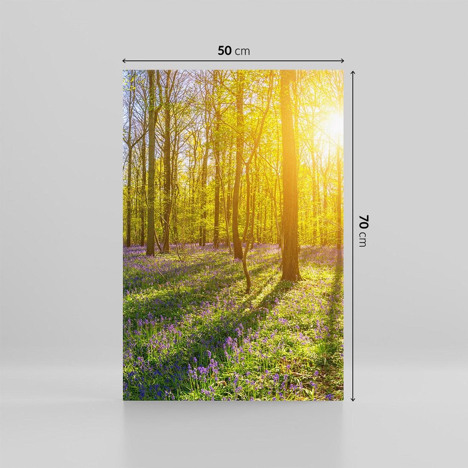 Obraz na płótnie 50x70 - Uroda lasu: harmonia drzew - las, drzewa