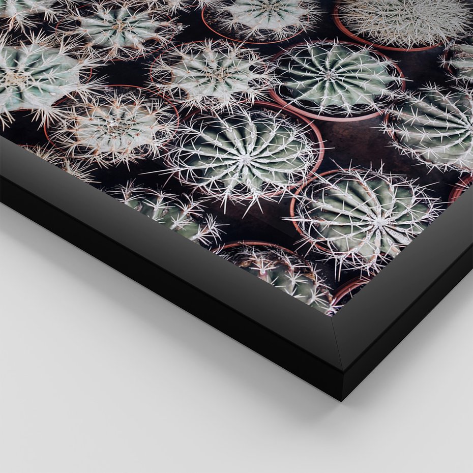 Zestaw obrazy w ramie 40x50 galeria - Kaktusy, liście, boho - rama czarna