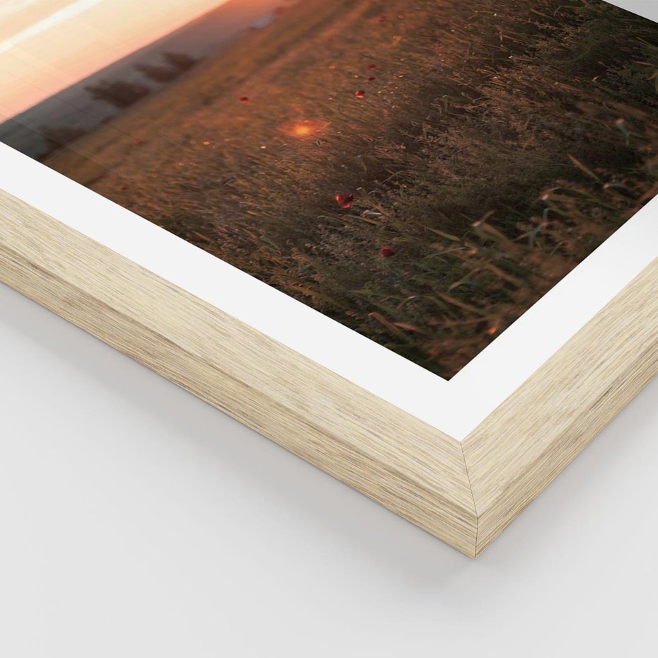 Plakat w ramie 50x70 - Łąka we Wschodzącym Słońcu: Magia Poranka - łąka, krajobraz - rama drewno