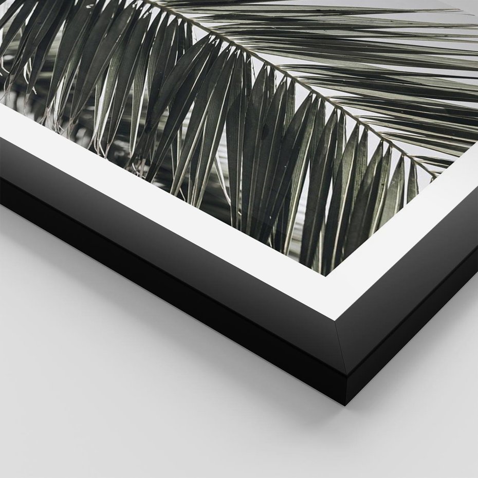 Plakat w ramie 40x50 - Liść Palmy: Egzotyczny Detal Natury - palma, liść palmy - rama czarna