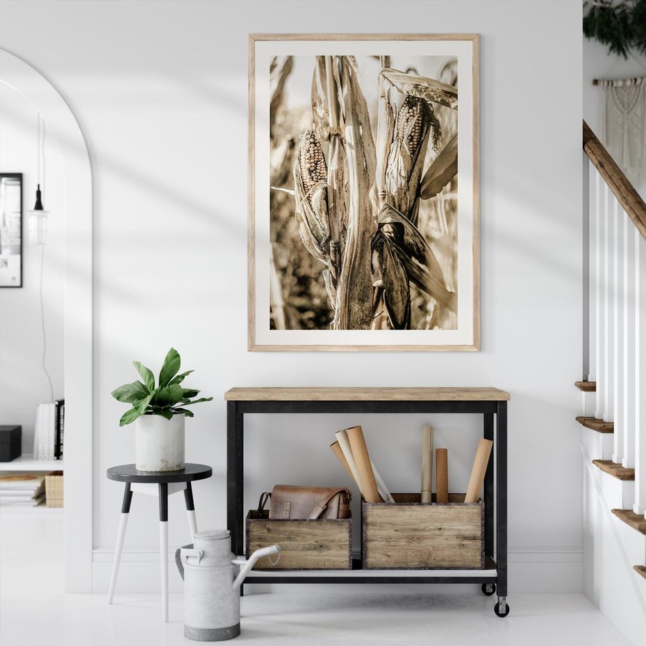 Plakat w ramie 30x40 - Retro Pole Kukurydzy - retro zdjęcie, sepia - rama drewno