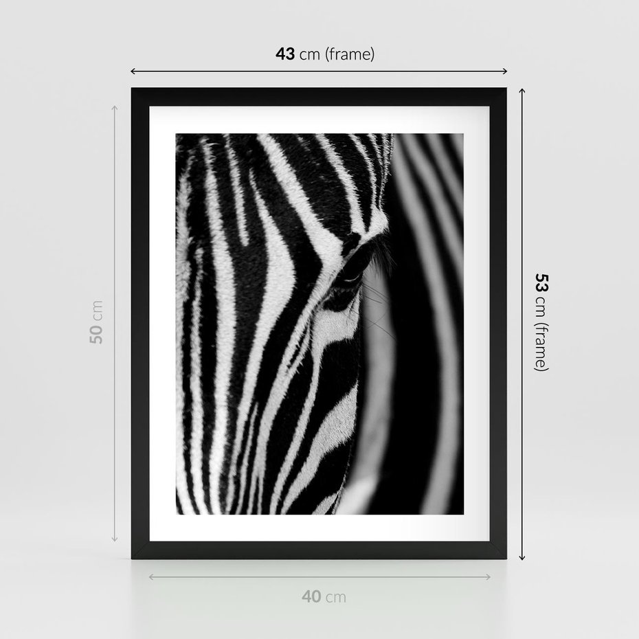 Plakat w ramie 40x50 - Pasy Zebr - zebra, paski - rama czarna
