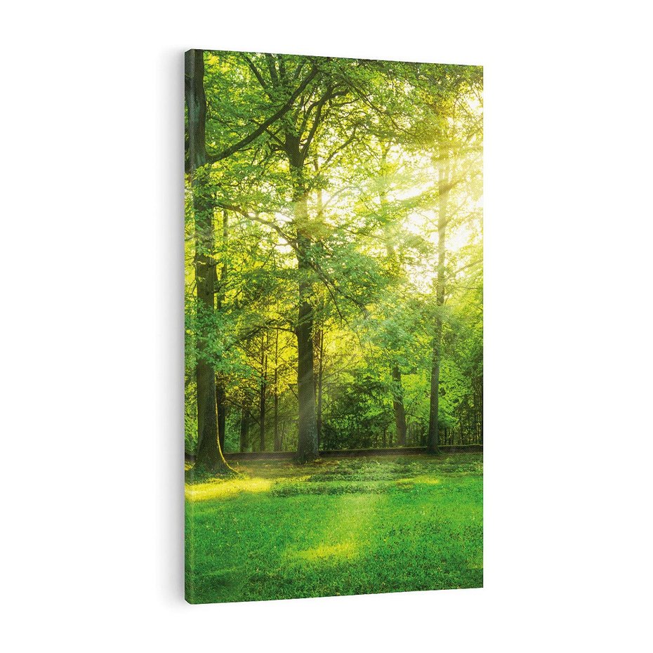 Obraz na płótnie 80x120 - Moc lasu - las, drzewa