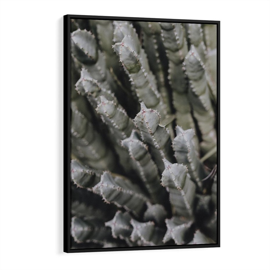 Obraz w ramie 50x70 - Boho kaktusy na pustyni - kaktusy, pustynia - rama czarna