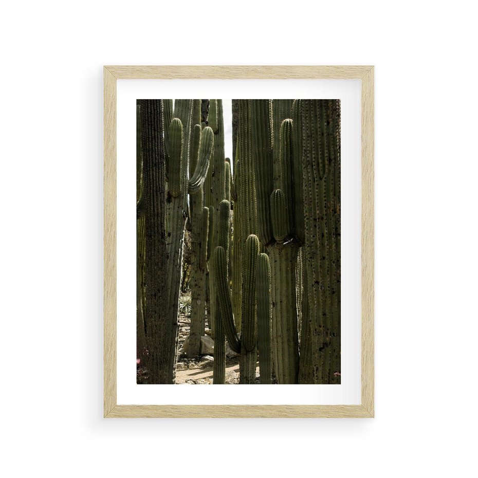 Plakat w ramie 30x40 - Wyjątkowy Klimat Boho - kaktusy, pustynia - rama drewno