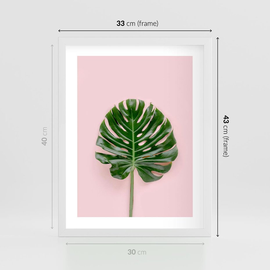 Plakat w ramie 30x40 - Egzotyczna Roślinność - liście, monstera - rama biała
