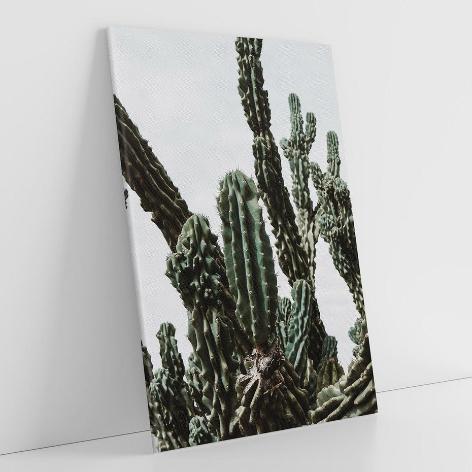 Obraz na płótnie 50x70 - Boho oaza wśród kaktusów - kaktusy, pustynia