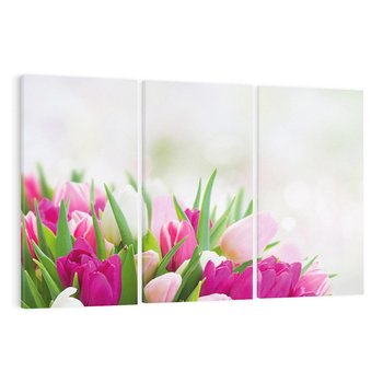 Obraz na płótnie 120x80 - Tulipany w pełnym rozkwicie - tulipany, kwiaty