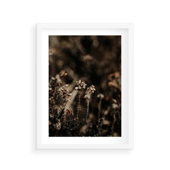 Plakat w ramie 40x50 - Jesienny Urok - suche trawy, jesienny pejzaż - rama biała