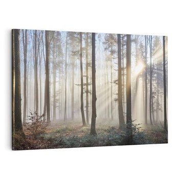 Obraz na płótnie 70x50 - Magiczne zaklęcie: Las pełen drzew - las, drzewa