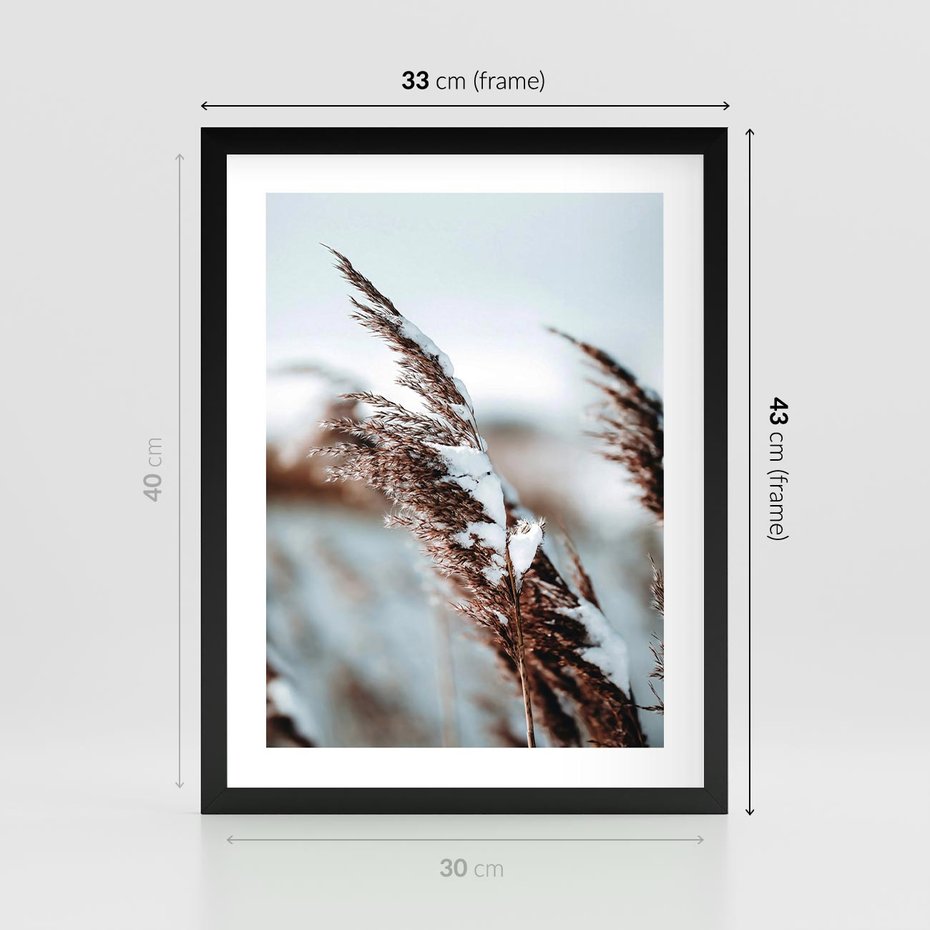 Plakat w ramie 30x40 - Zima na Suchych Trawach - suche trawy, śnieg wysokich na trawach - rama czarna