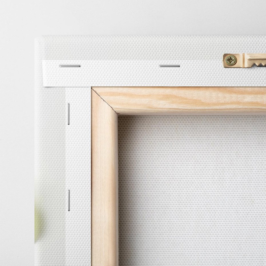 Obraz na płótnie 80x80 - owocowa eksplozja - limonki, owoce