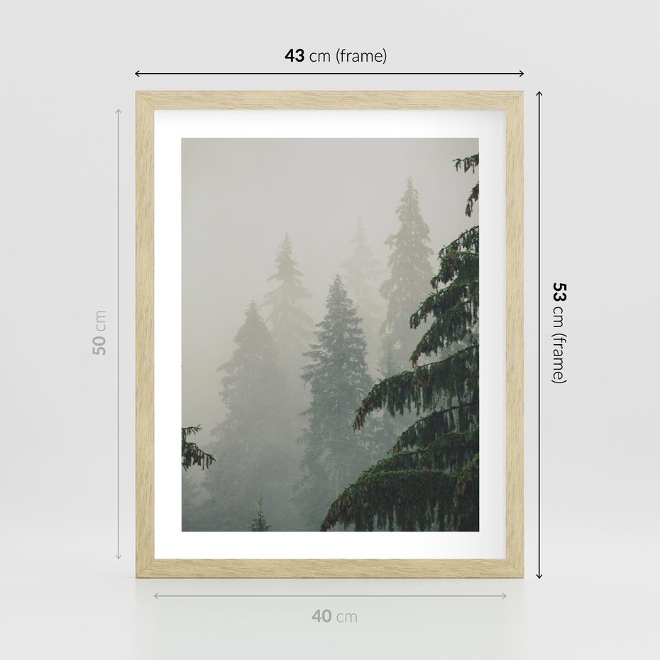 Plakat w ramie 40x50 - Mglista przemiana lasu - las, mgła - rama drewno