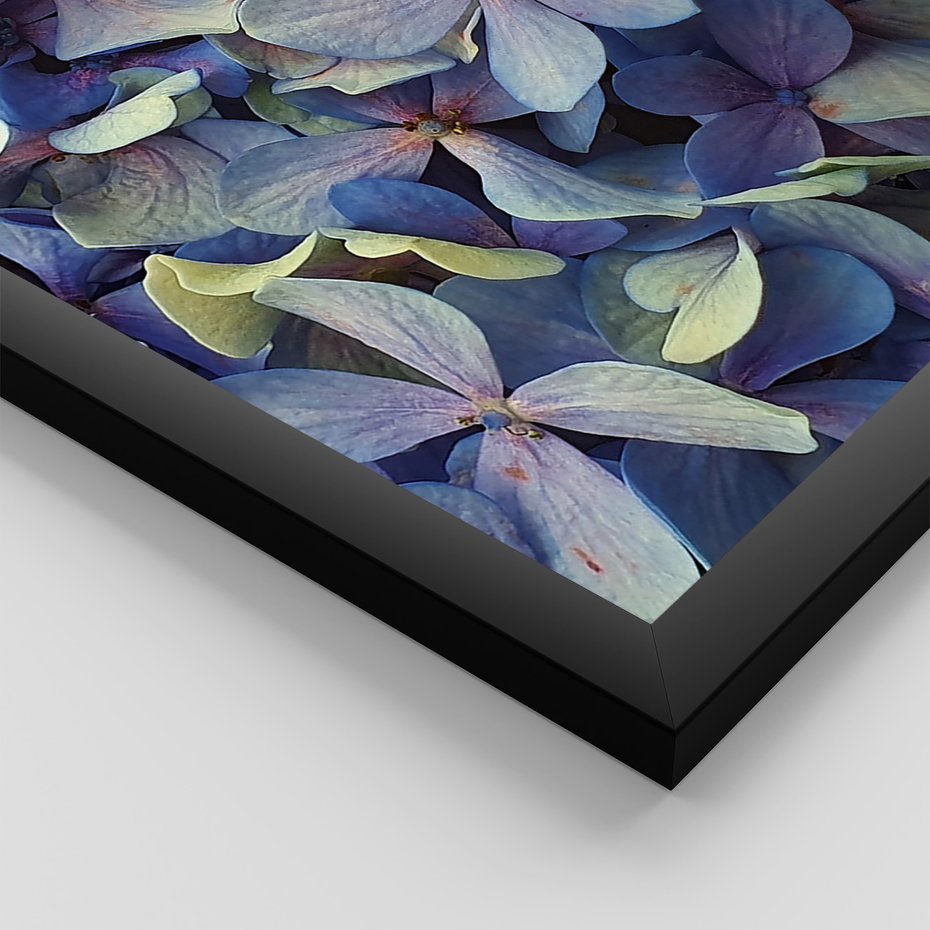 Zestaw obrazy w ramie 30x40 galeria - Suche, kwiaty, hortensje, boho - rama czarna